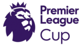 İngiltere Premier League Cup