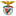 Benfica Castelo Branco