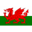 Wales U19