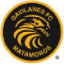 Gavilanes FC Matamoros