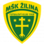 Žilina W