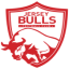 Jersey Bulls