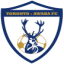 Toronto Awaba Stags