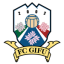 FC Gifu