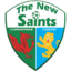 The New Saints