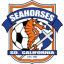 Seahorses