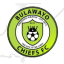 Bulawayo Chiefs