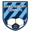 Shaftesbury Town