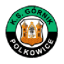 Górnik Polkowice