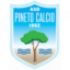 Pineto